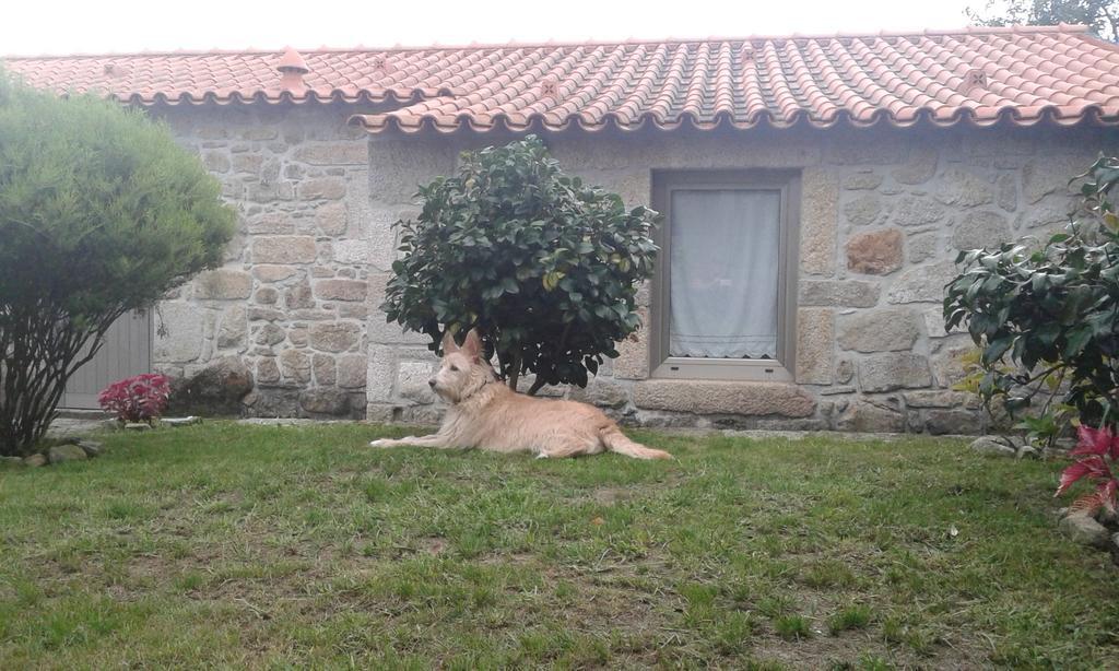 Vila Casa Maria Da Assuncao Vila Nova de Cerveira Pokoj fotografie